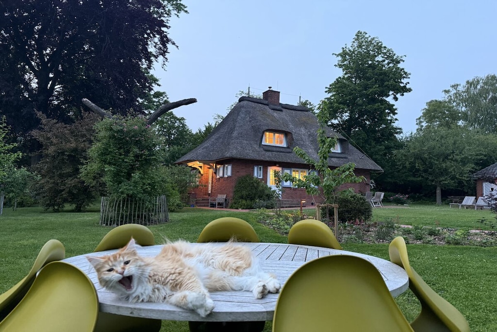 387184 - Niet-getagd