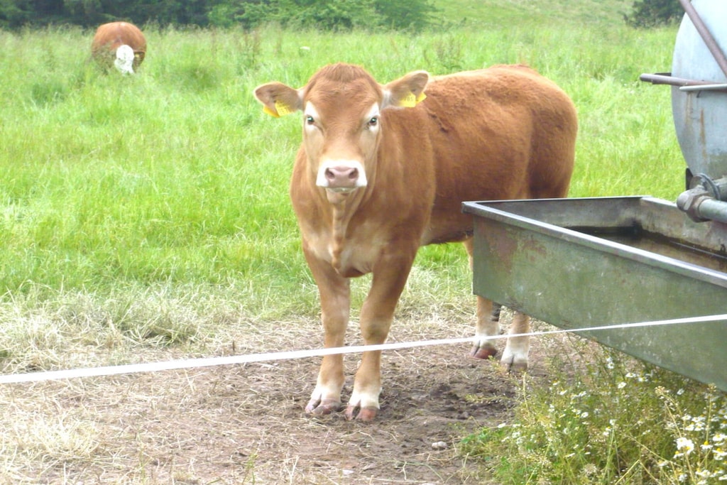 77487 - Niet-getagd