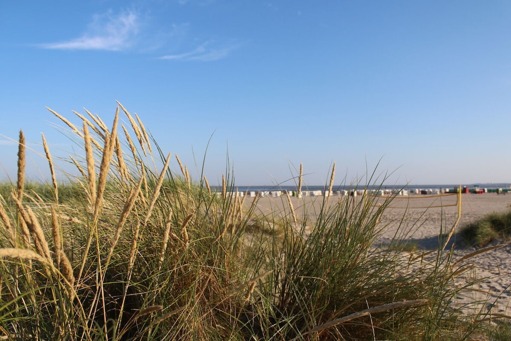 127300 - Niet-getagd