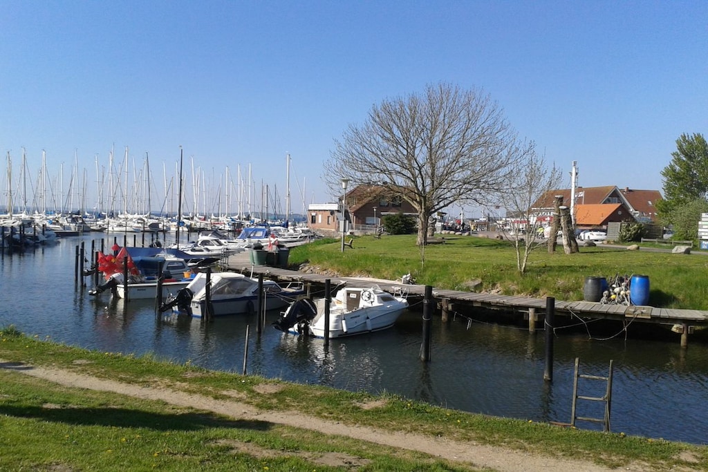 73365 - Niet-getagd