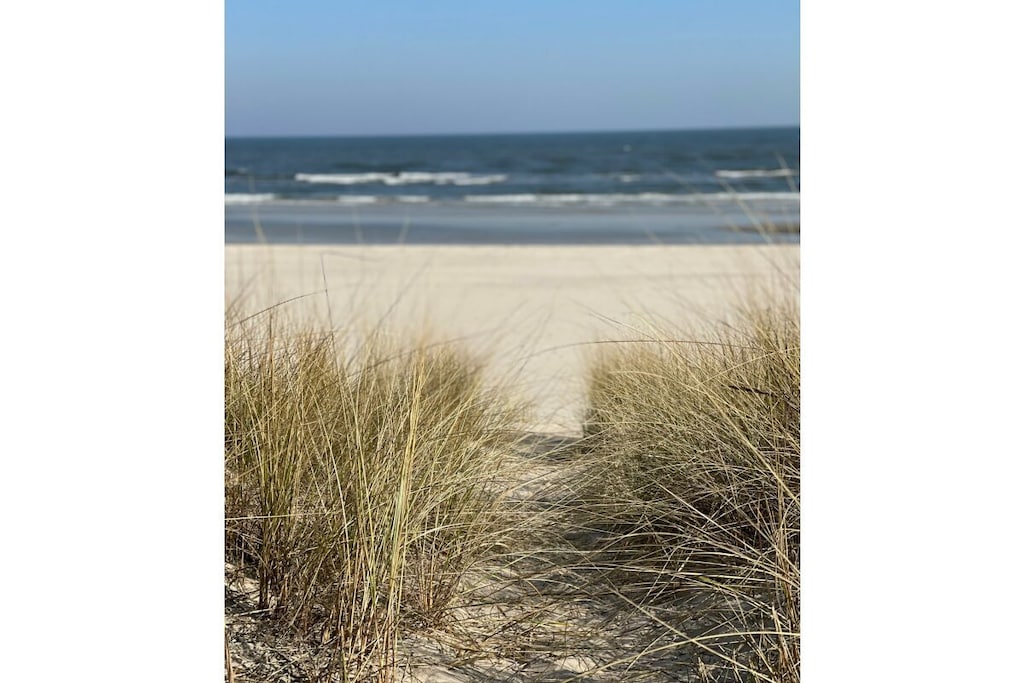 392166 - Niet-getagd