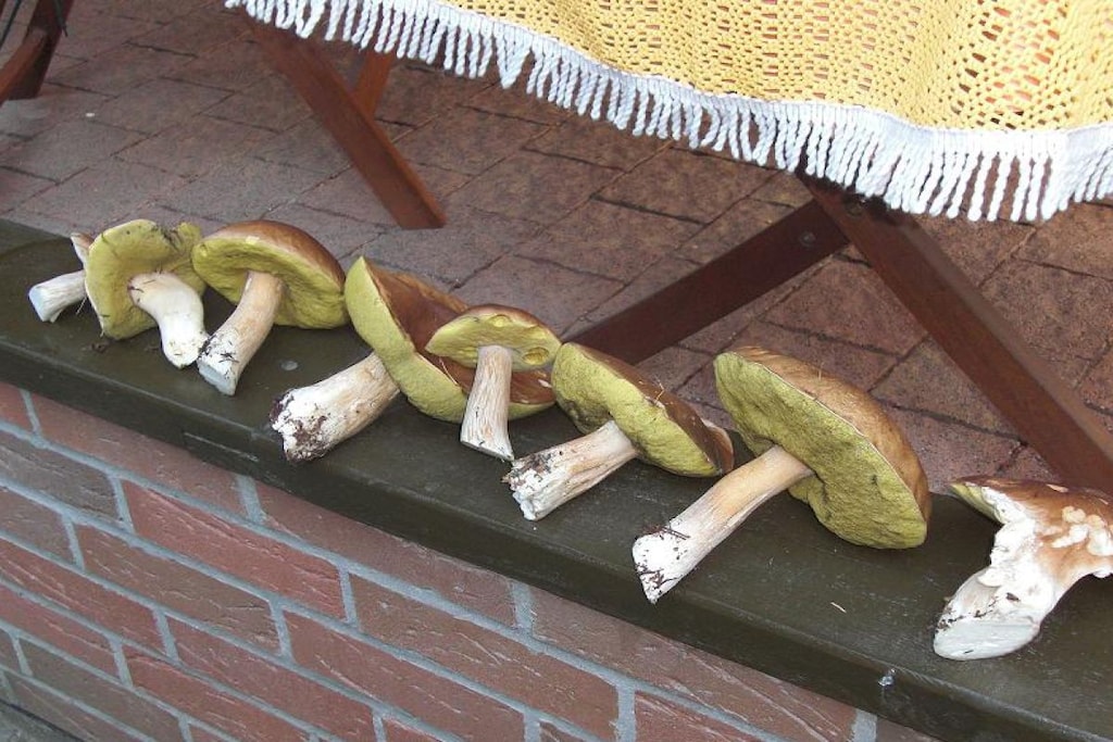 48312 - Niet-getagd