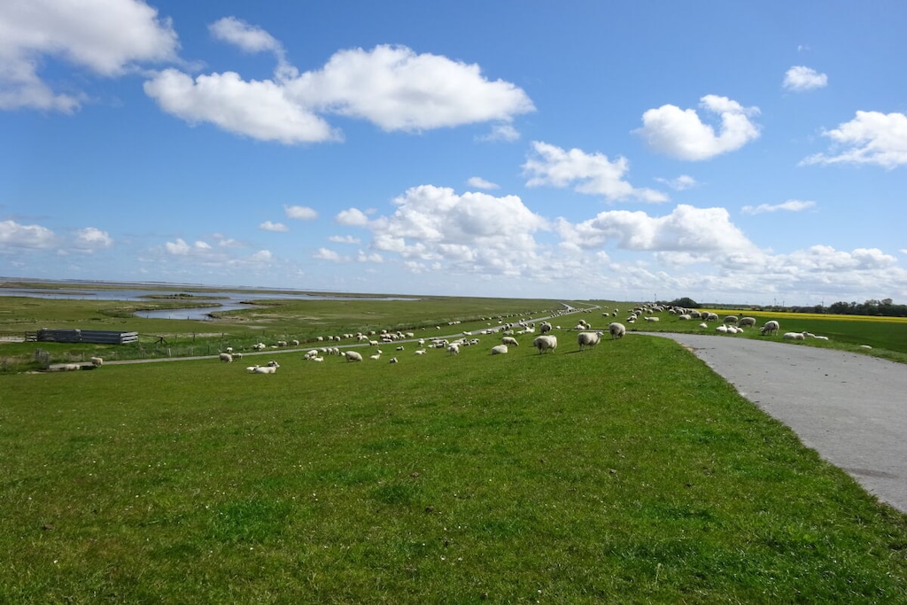 231034 - Niet-getagd