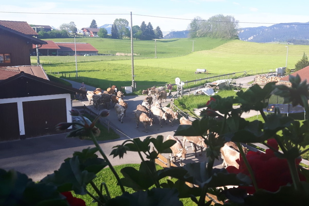 60643 - Niet-getagd