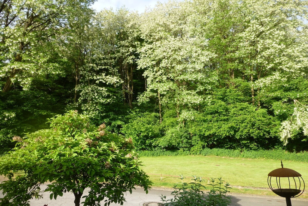 54565 - Niet-getagd