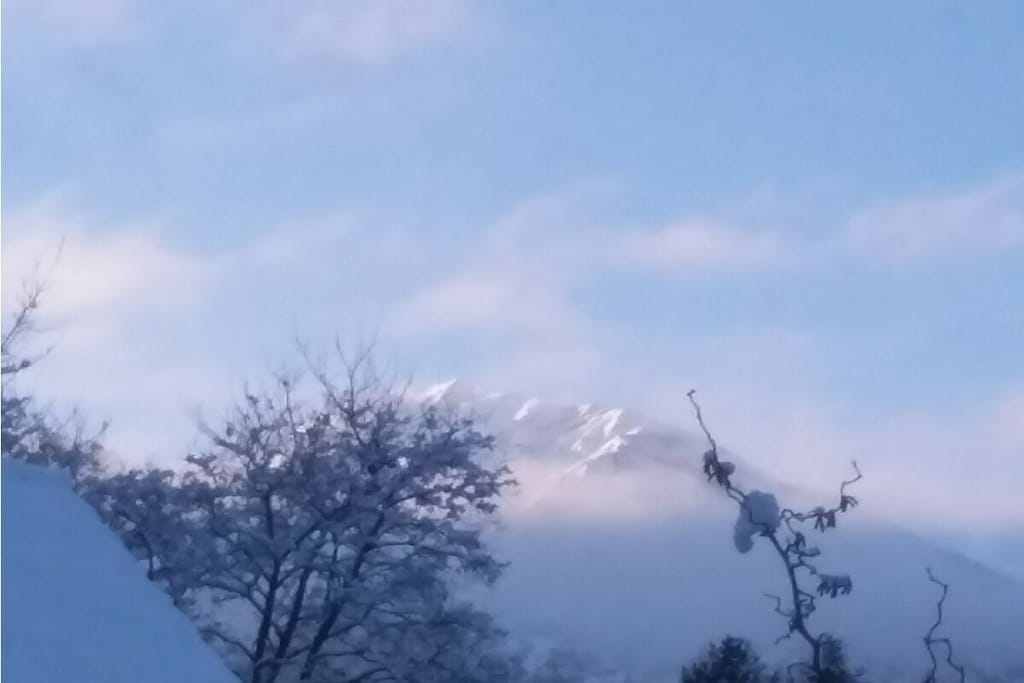 294000 - Niet-getagd