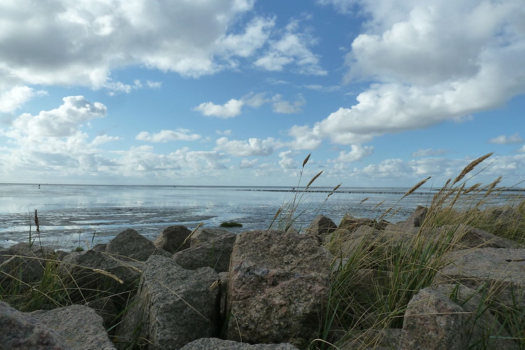 263954 - Niet-getagd