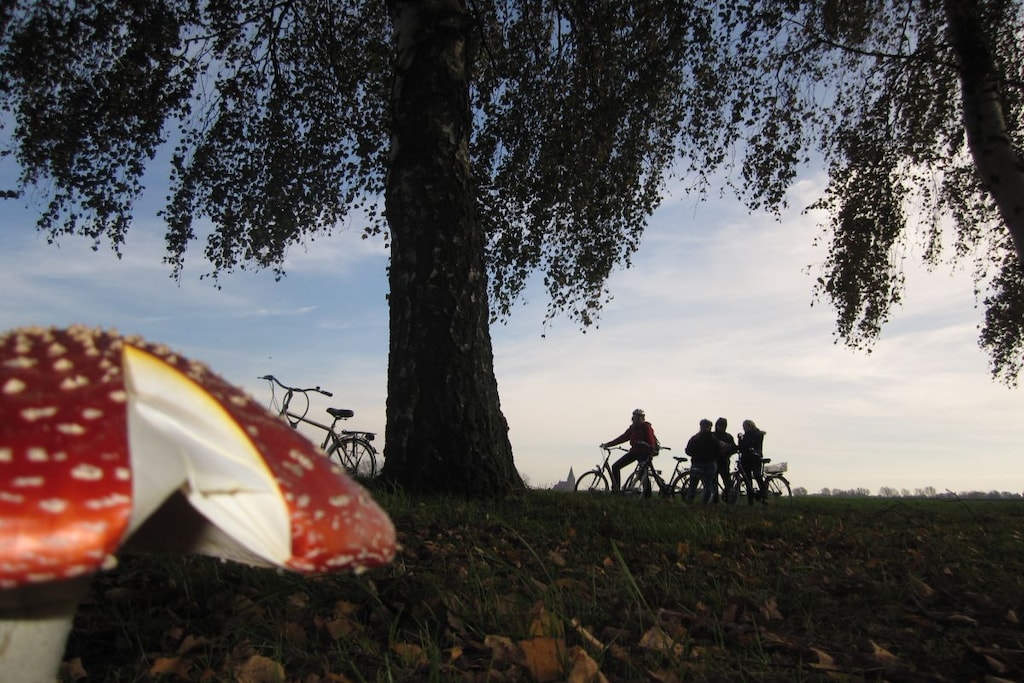 135904 - Niet-getagd