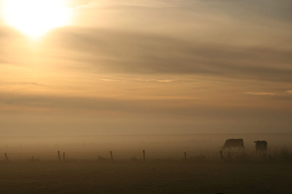 137033 - Niet-getagd