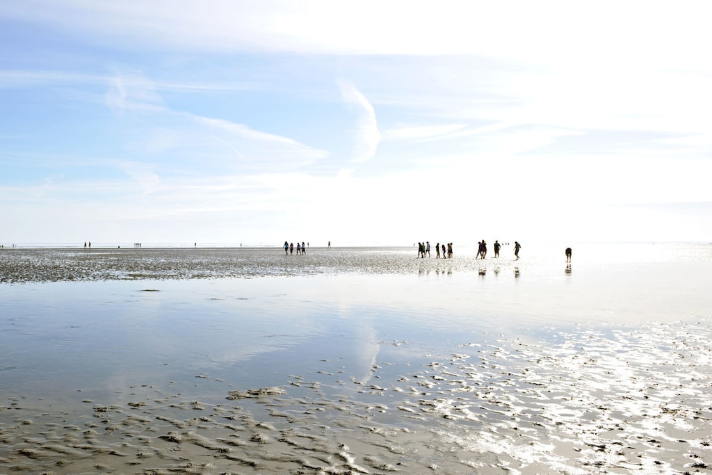 259207 - Niet-getagd