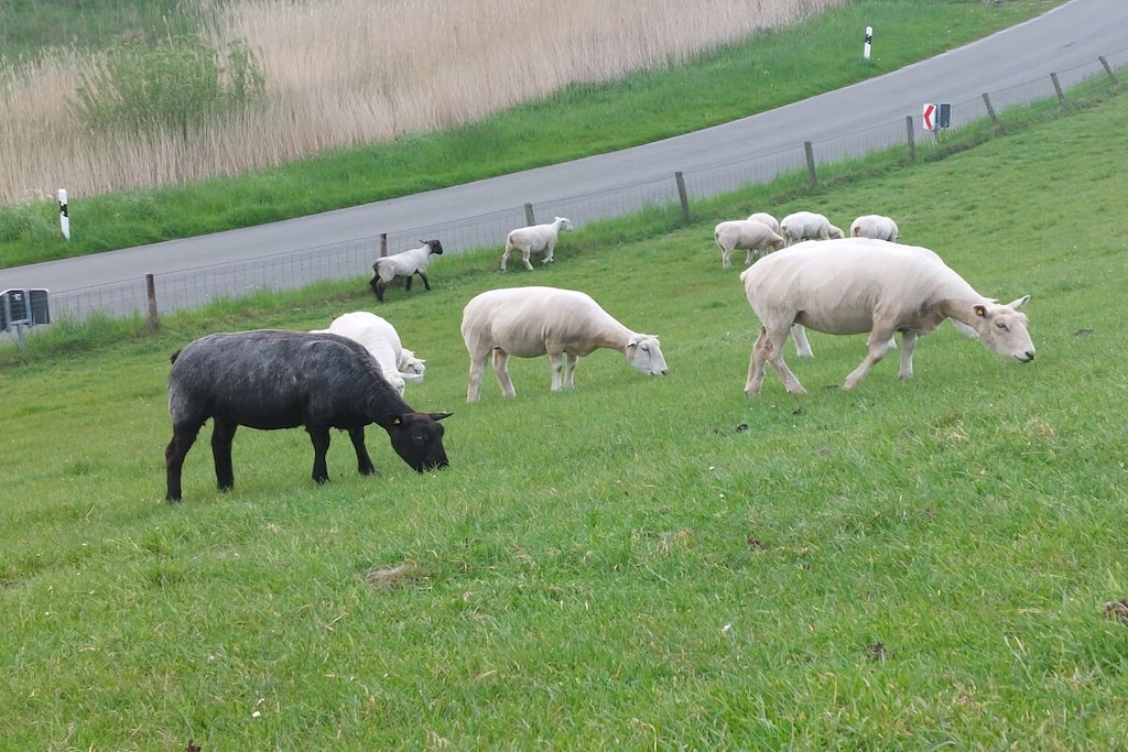 492873 - Niet-getagd