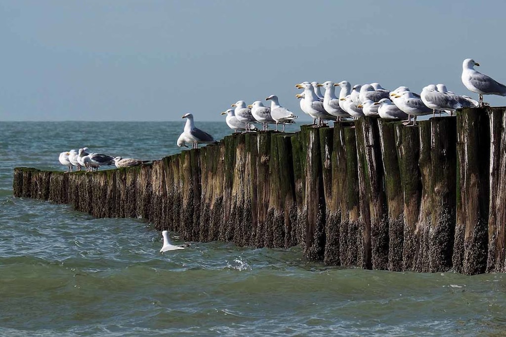 133646 - Niet-getagd