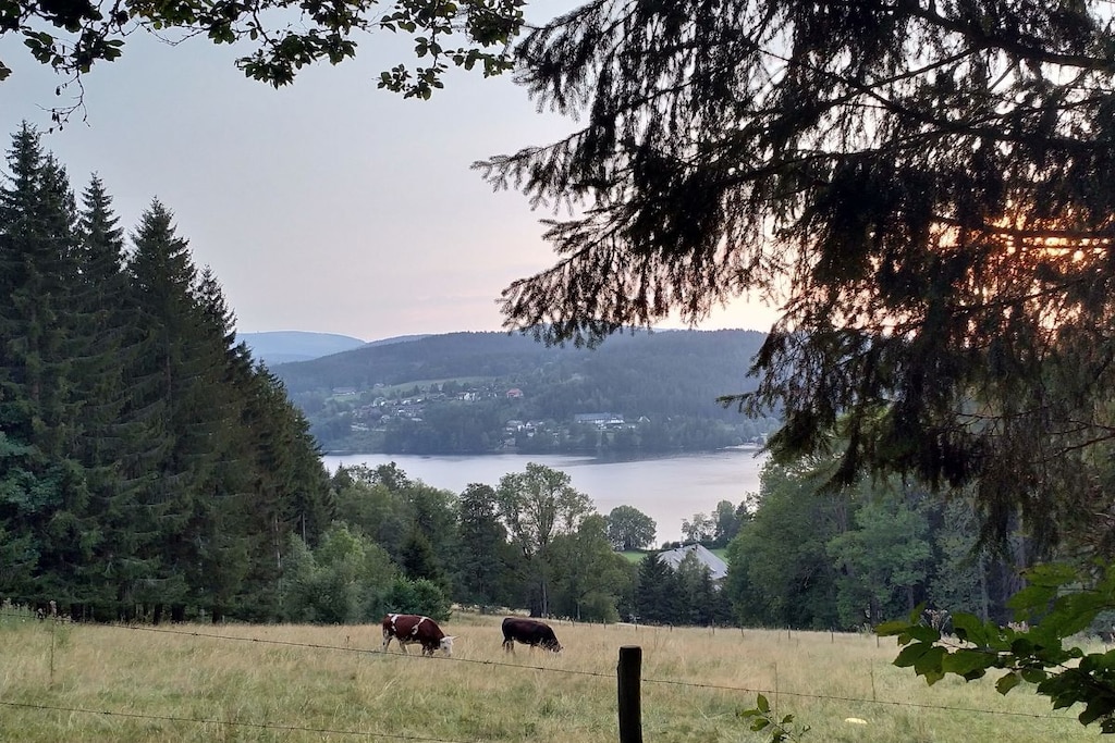 185256 - Nicht zugeordnet