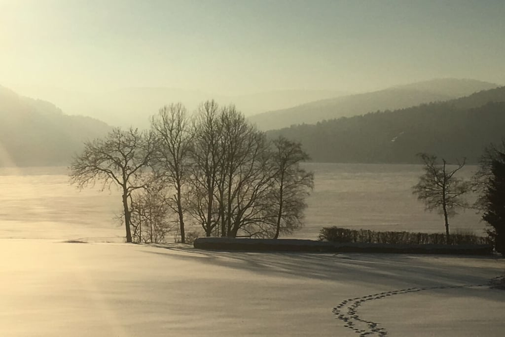 185256 - Nicht zugeordnet