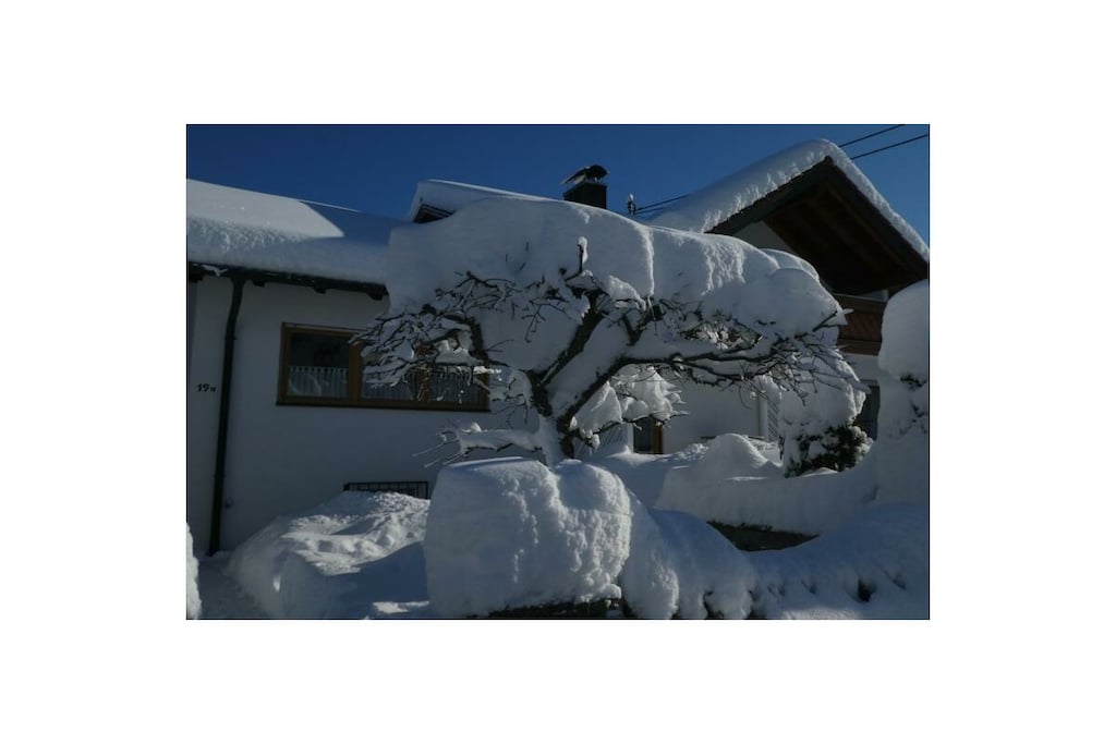 181270 - Nicht zugeordnet