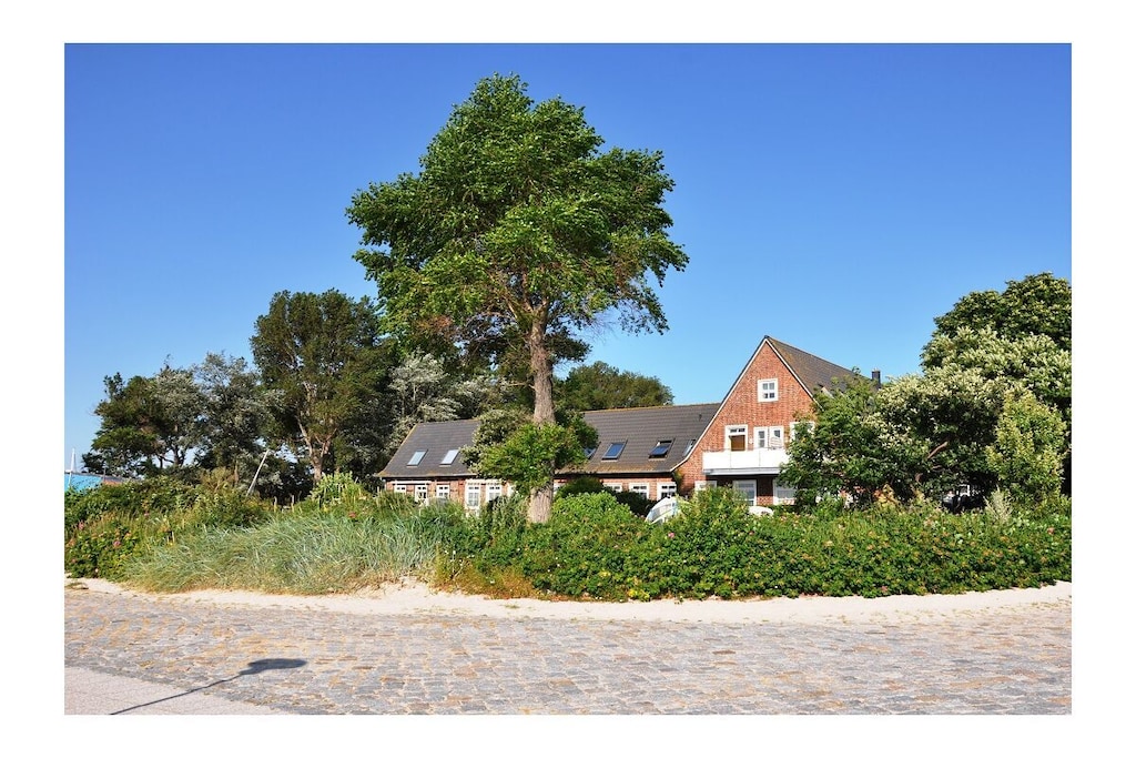 294389 - Niet-getagd