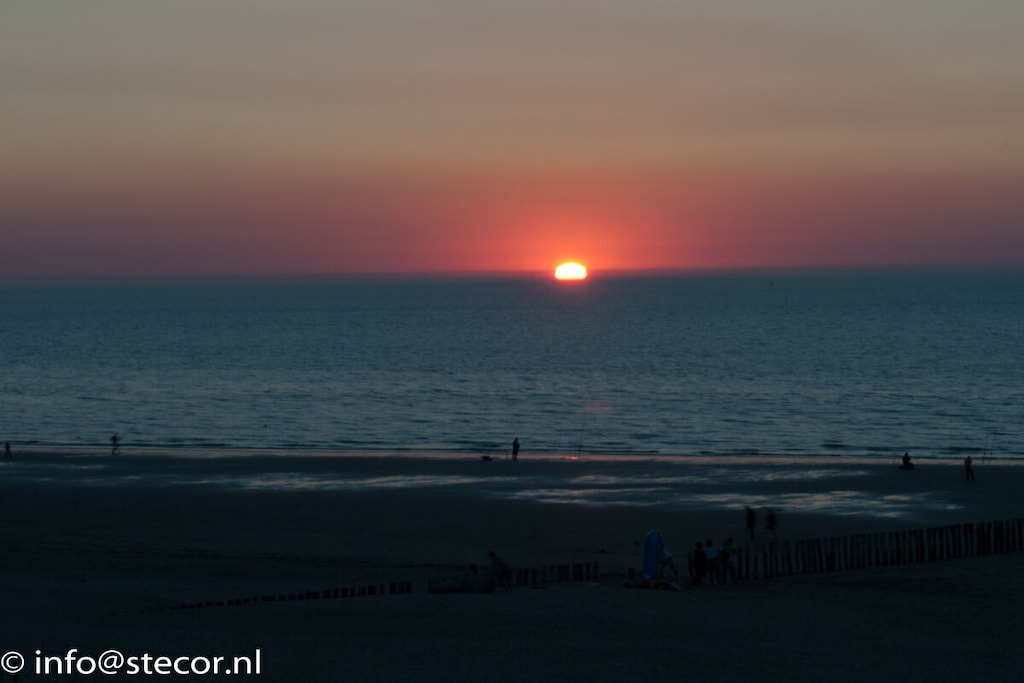462469 - Niet-getagd