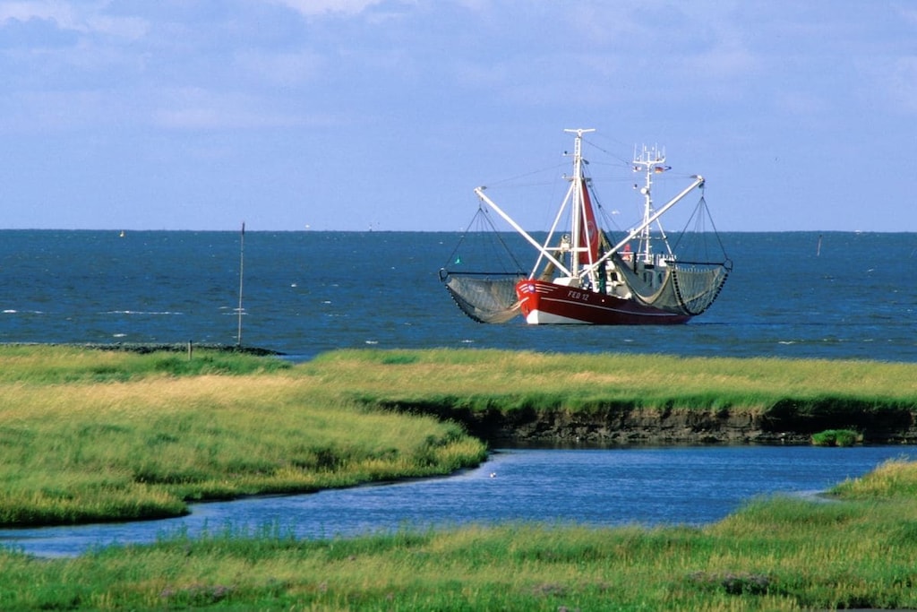 51786 - Niet-getagd