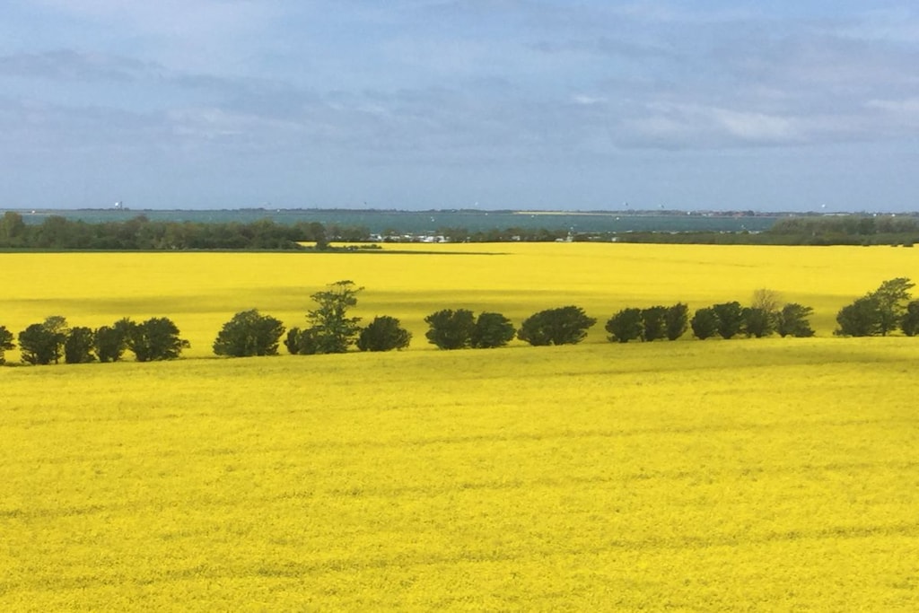 133651 - Niet-getagd