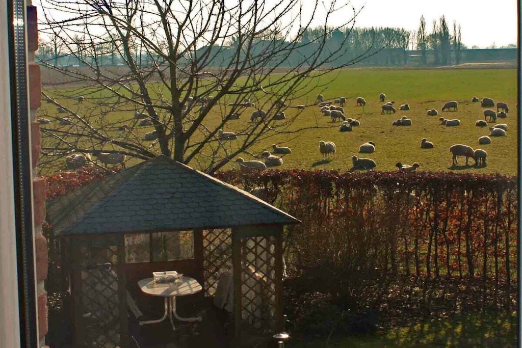 127134 - Niet-getagd