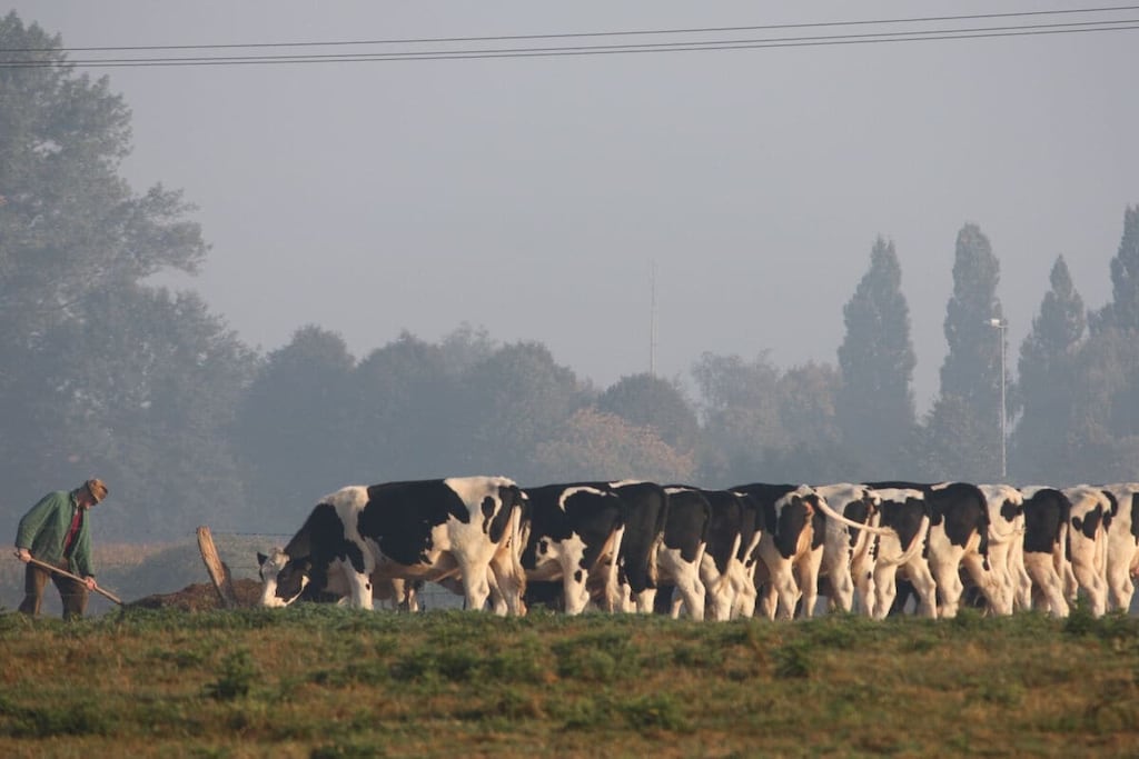 127134 - Niet-getagd