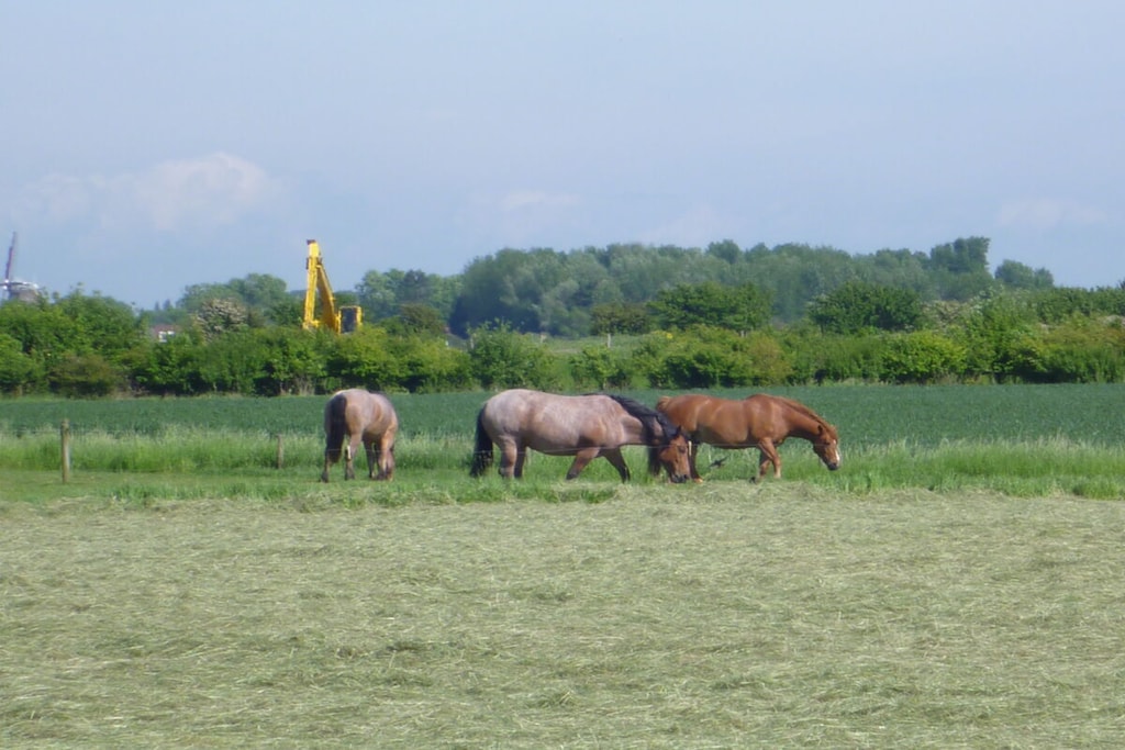 315392 - Niet-getagd