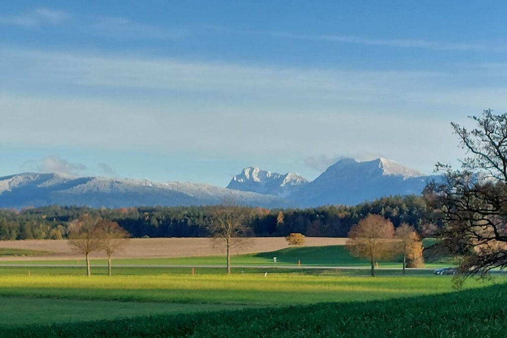 438361 - Nicht zugeordnet