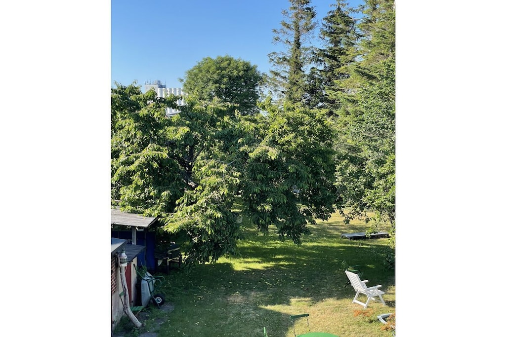 17432 - Niet-getagd