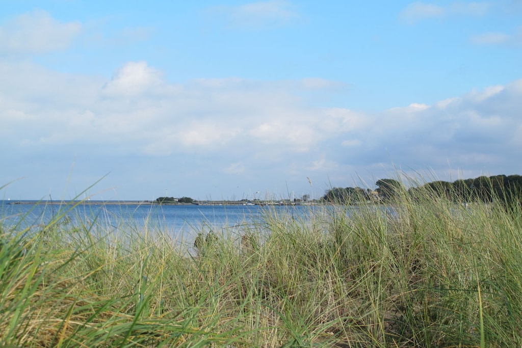 78261 - Niet-getagd