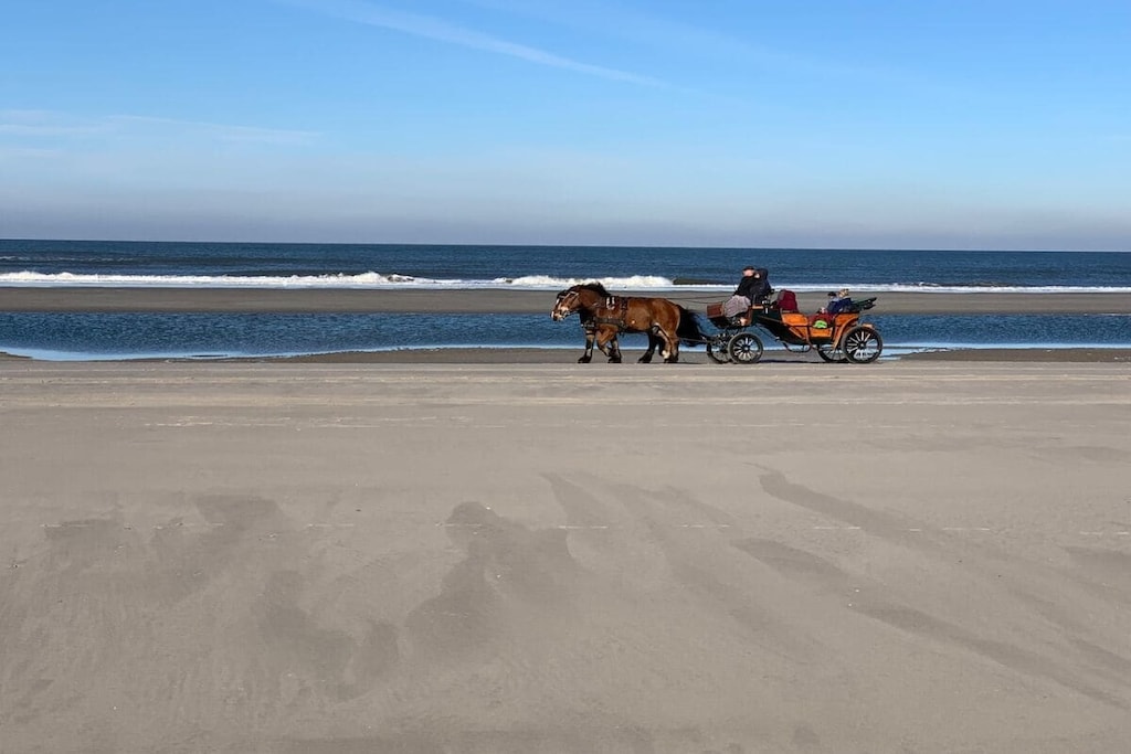 426429 - Niet-getagd