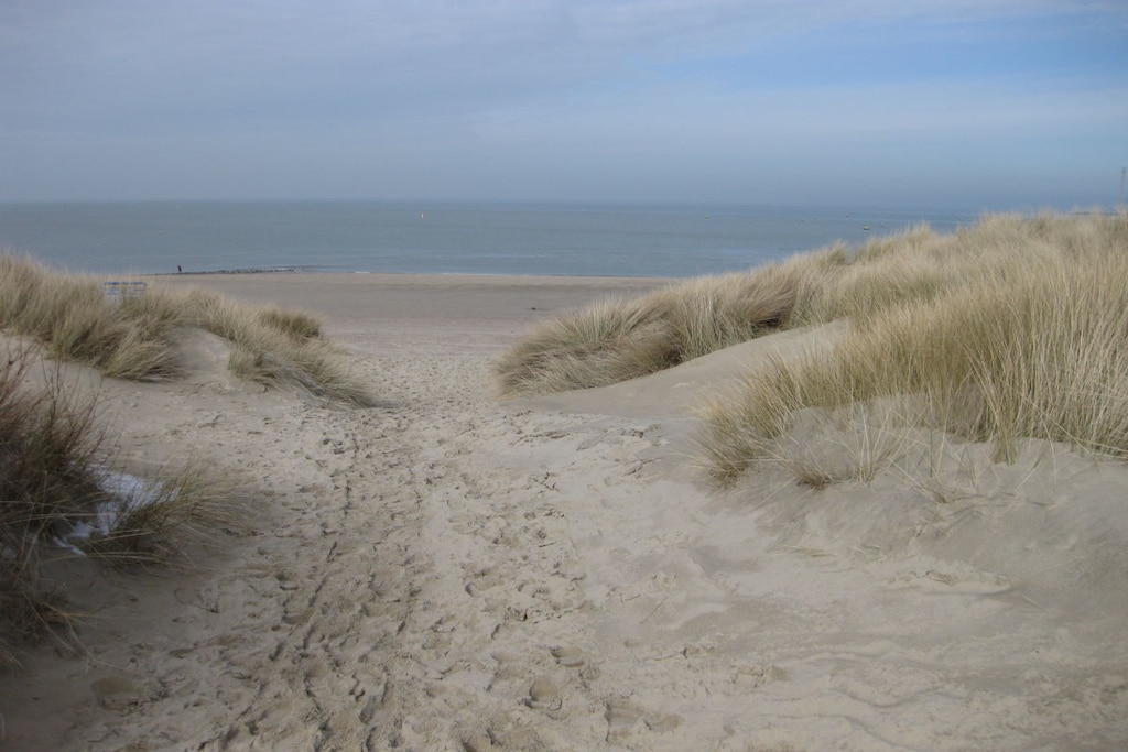 228303 - Niet-getagd