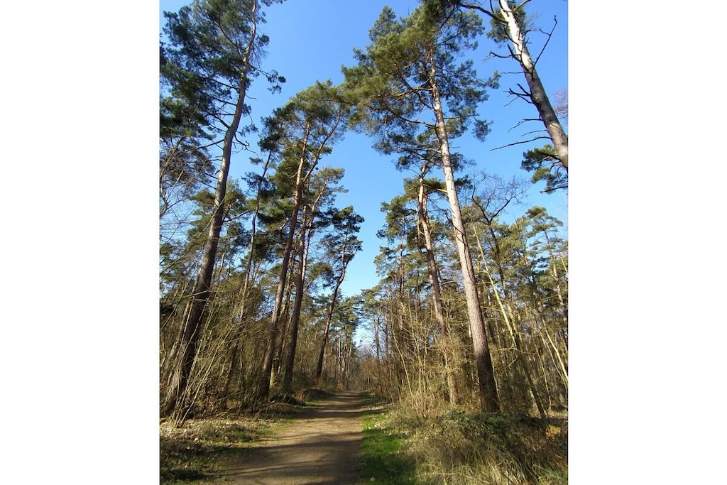 276936 - Niet-getagd