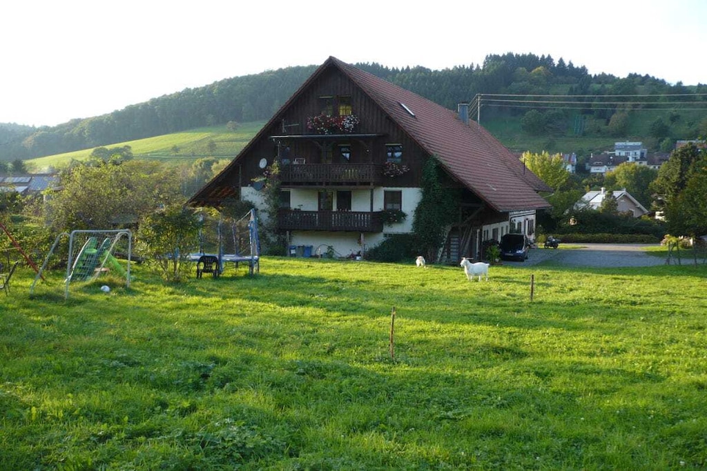 13558