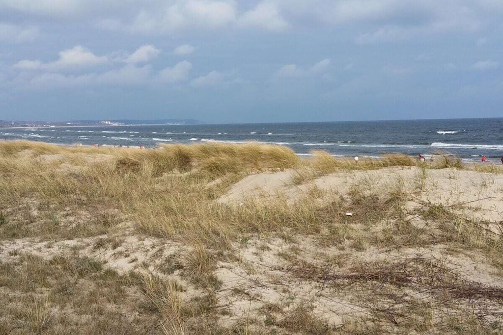 423060 - Niet-getagd