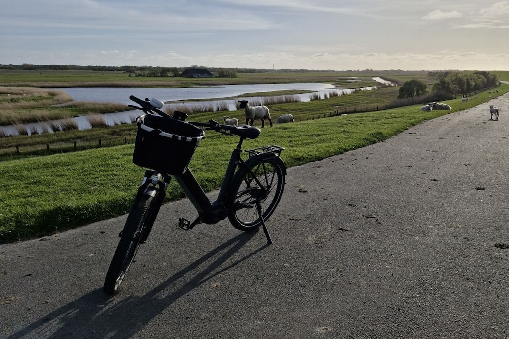 382277 - Niet-getagd