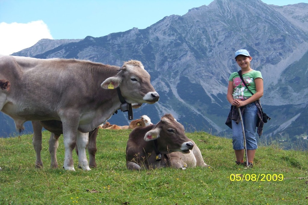 178217 - Niet-getagd