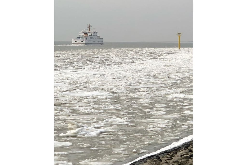 207865 - Niet-getagd
