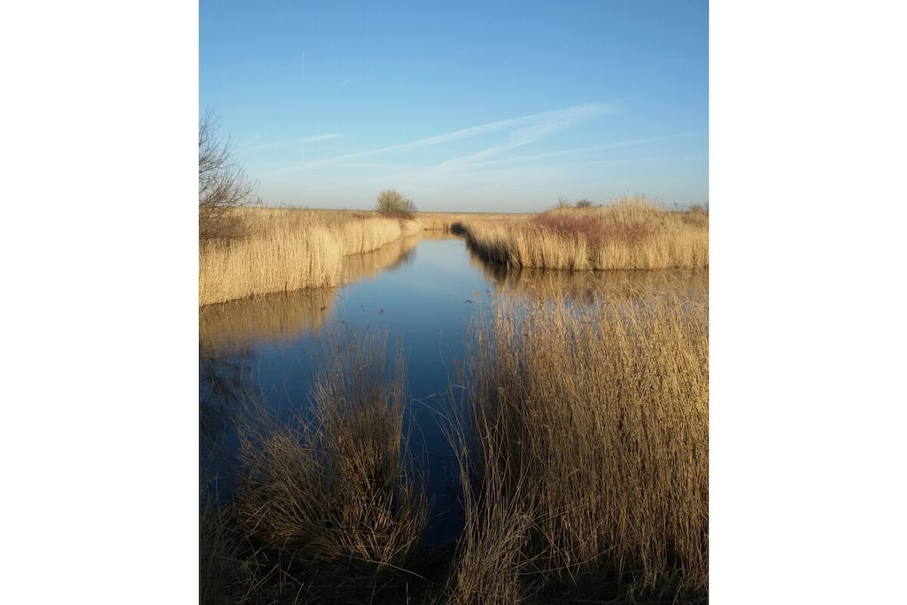 474801 - Niet-getagd