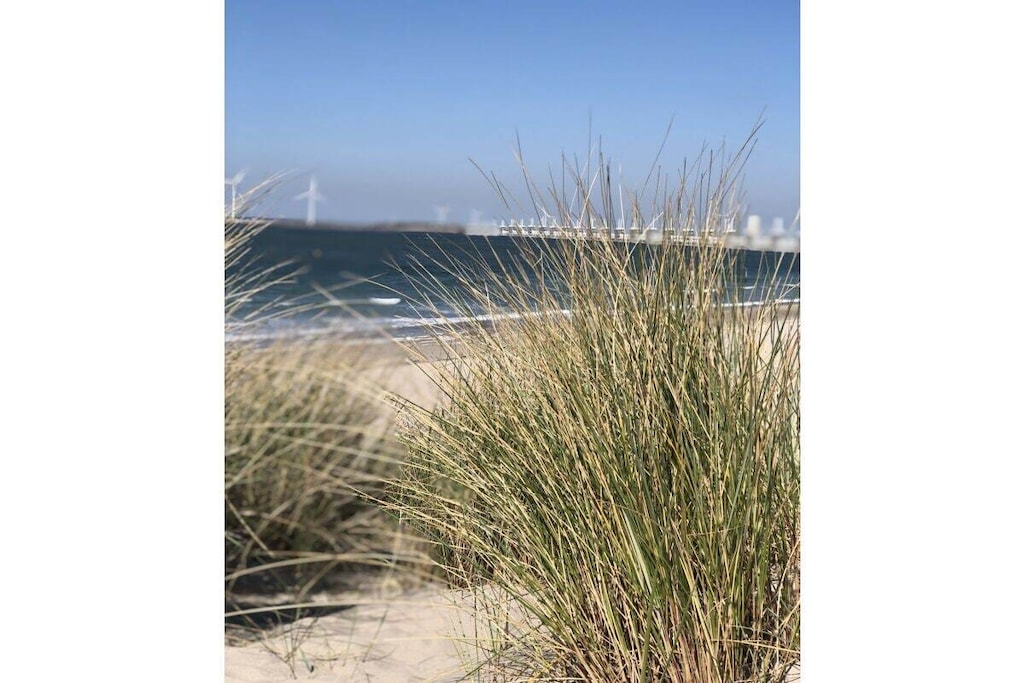 280919 - Niet-getagd