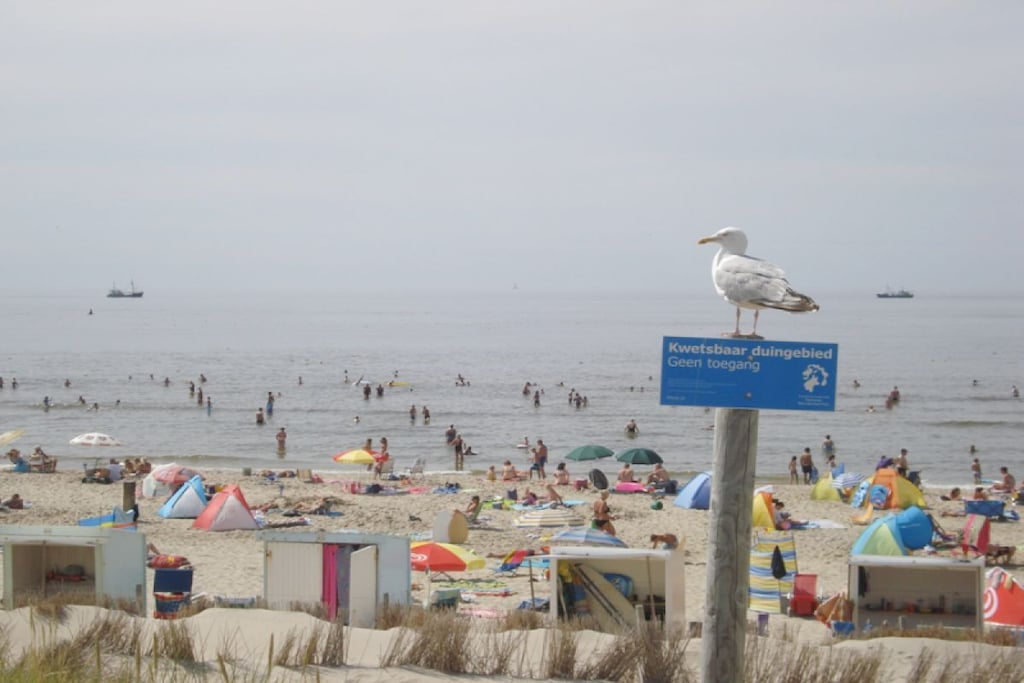 67129 - Niet-getagd