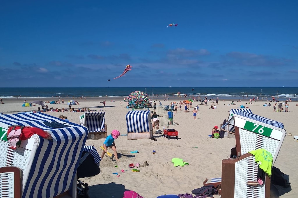 256136 - Niet-getagd