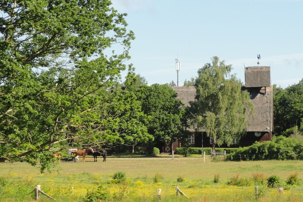 130525 - Niet-getagd