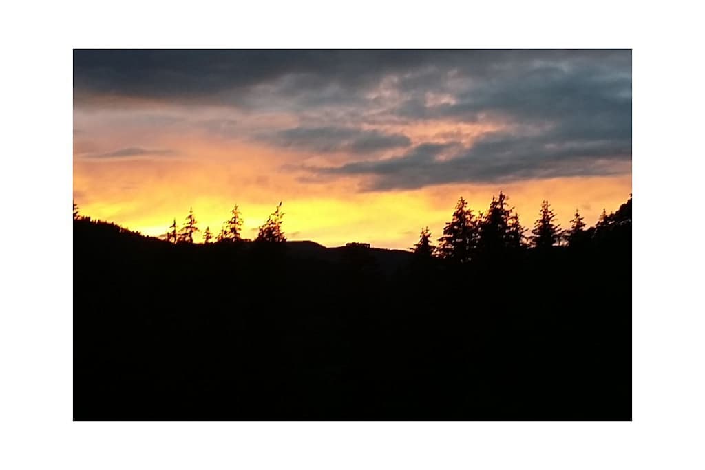 141272 - Nicht zugeordnet