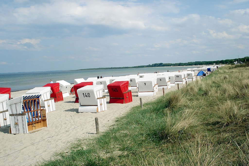 58130 - Niet-getagd