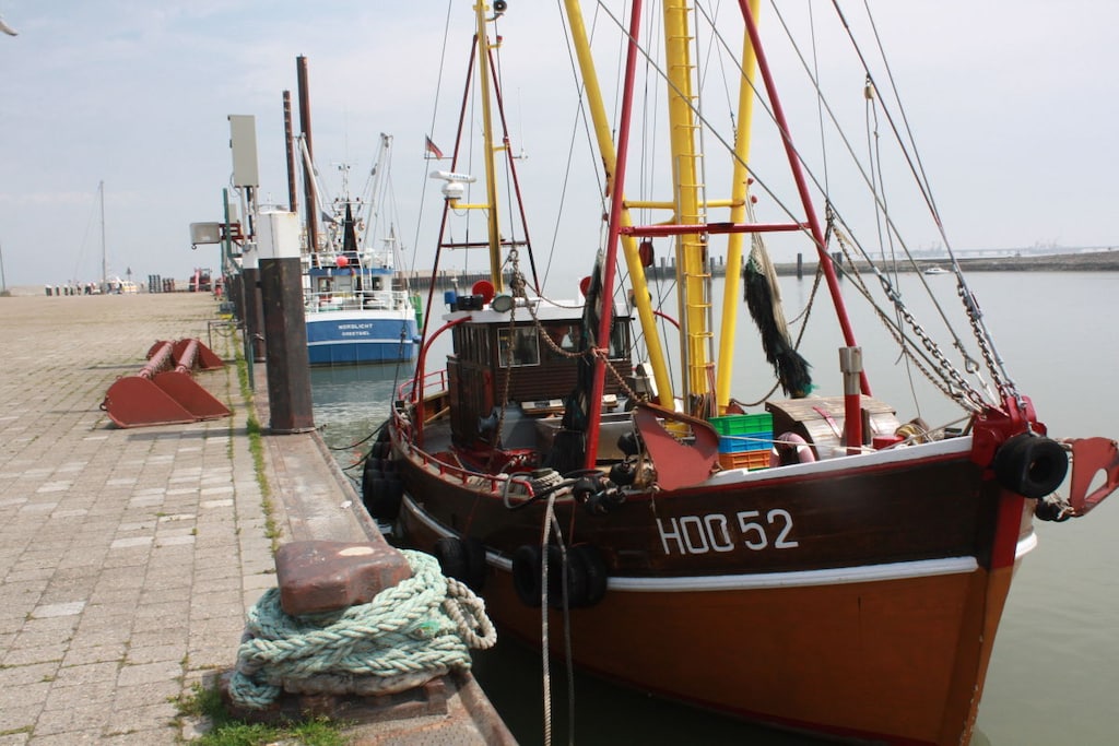 263656 - Niet-getagd