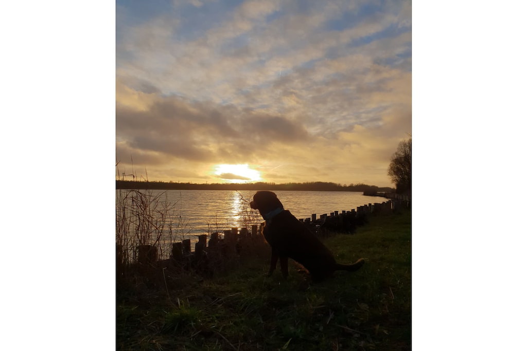 263656 - Niet-getagd