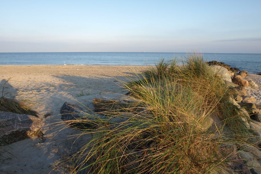 75377 - Niet-getagd