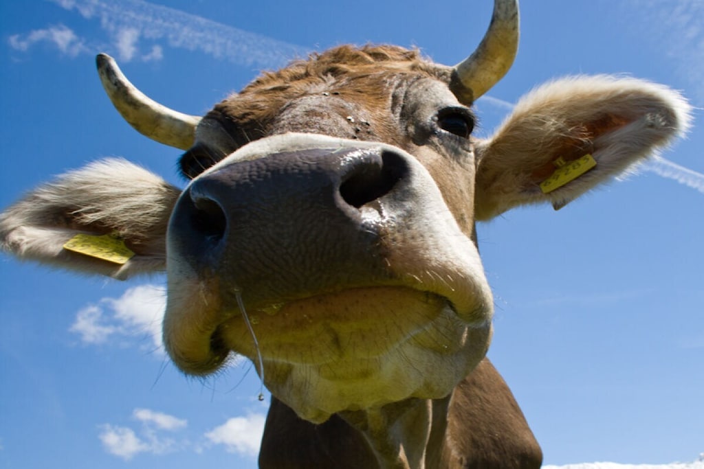 138494 - Niet-getagd