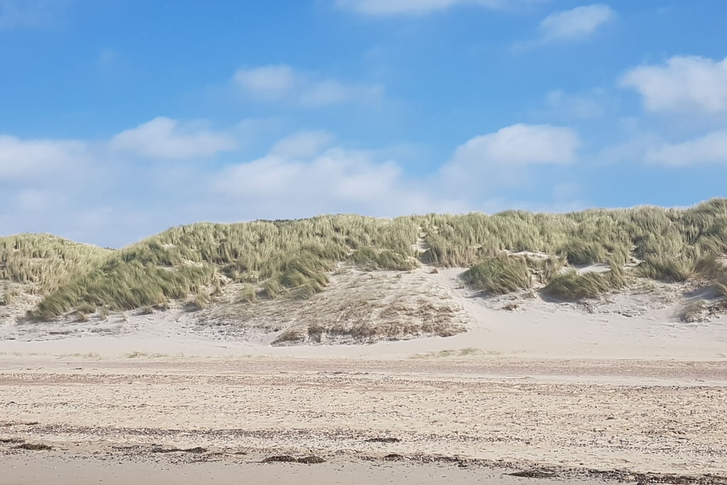 116323 - Niet-getagd