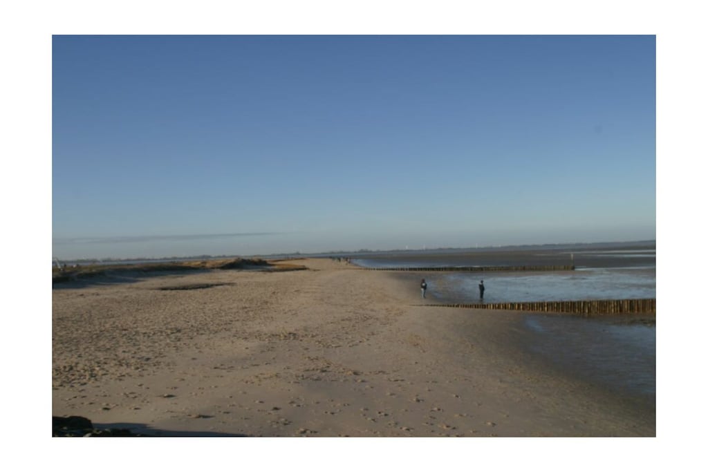 293256 - Niet-getagd